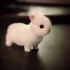 spacebunny2000