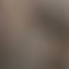 tyler_0716