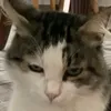 skiskiiiiiiiiiiiiiii