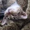sandy_4196