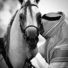 salman_1969