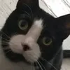 scrollingtikt0k