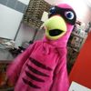 flightlessbirdzzz