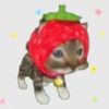 strawbearie14
