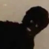 ticklemyballs666