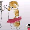 stupid_zebra_toe