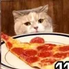 pizzakotek
