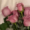 ast_finds.recos