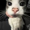 stinkiweenormous