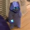 turbo_tucker