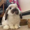 emmasworld96
