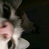 zcxx_02