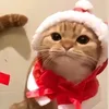 ellybee1226