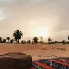 Rituals of Algeria 🤎🌴