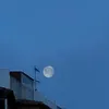 isisdella