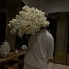 aball_1