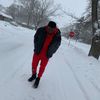 renardd_