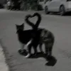 mxlenasc