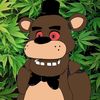 marleytrip