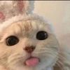 hywunii_