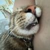 loverofmommymilkers