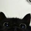 0lilylulu0