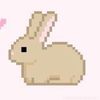 bunnyy.cake