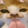 byakuyasfuturewife