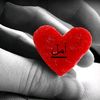 amalqa_76