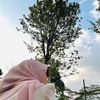 ruminaw26