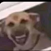 cxhella