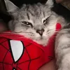 katemadisonroxas