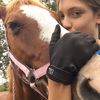 jordan_horses12