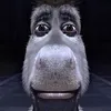 vynrichersbf