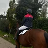 alicia_sj_
