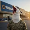 a_walmart_seagull