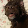 jessthemesst