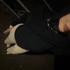 zeyno.sx