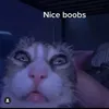 smtzaa