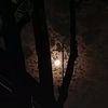 fania_63p