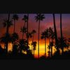 savanna098