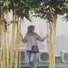 ceisya_alika
