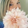 nicolemaefloral