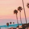 palmtreebeaches