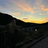 ich.mag_dinos