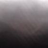 spam042222005