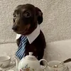ratfoux