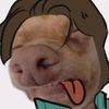 mrbussbuss