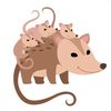 anonymouspossum224