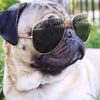 pugxxxx